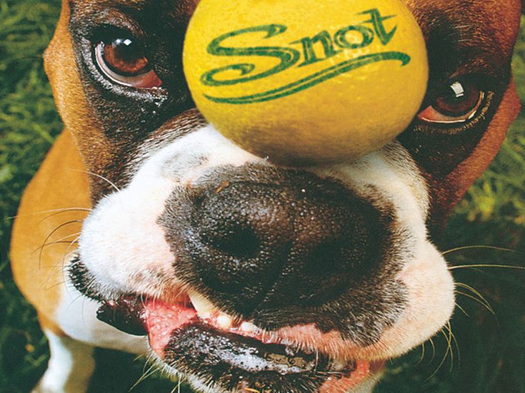Decisa la tracklist del tributo al defunto cantante degli Snot
