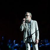 11 giugno 2019 - Terme di Caracalla - Roma - Francesco De Gregori in concerto