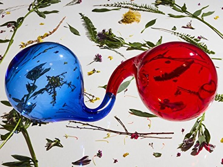 Dirty Projectors, il video di &quot;’About to die’. In arrivo nuovo EP