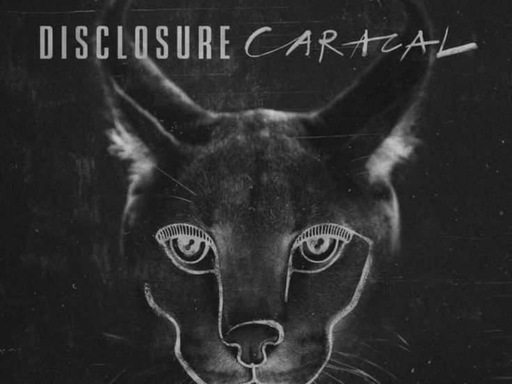 Disclosure: &apos;Non vediamo l&apos;ora di tornare in studio&apos;. Videointervista 