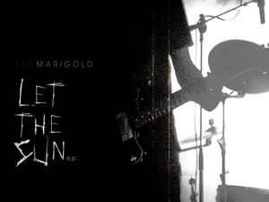 The Observer 2012: l&apos;intervista ai Marigold