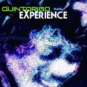Quintorigo - QUINTORIGO EXPERIENCE