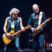 16 novembre 2023 - Modigliani Forum - Livorno - Ligabue in concerto 16 novembre 2023 - Modigliani Forum - Livorno - Ligabue in concerto