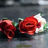 12 marzo 2018 - Hiroshima Mon Amour - Torino - The Kolors in concerto