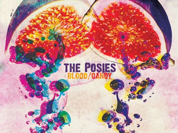 BLOOD CANDY Posies