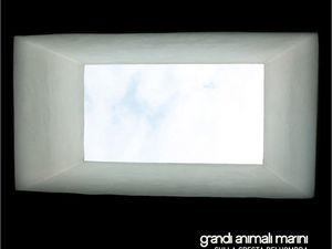 I Grandi Animali Marini: &apos;Presto un nuovo album&apos;