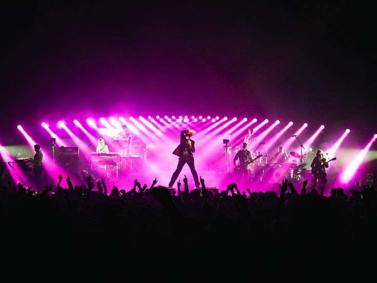 Pulp