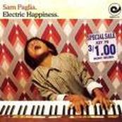 Sam Paglia - ELECTRIC HAPPINESS