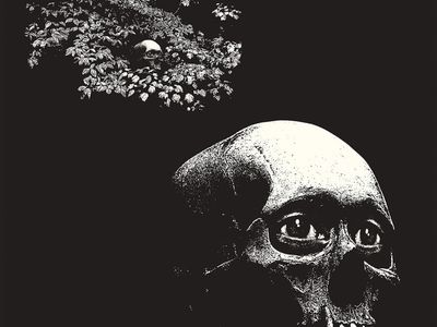 I Thee Oh Sees annunciano una pausa a tempo indeterminato