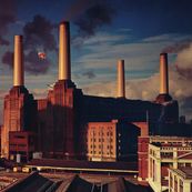 Pink Floyd - ANIMALS