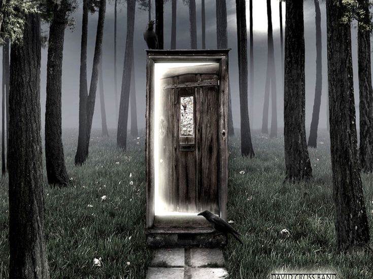 Comunicato Stampa: UpPavia2002