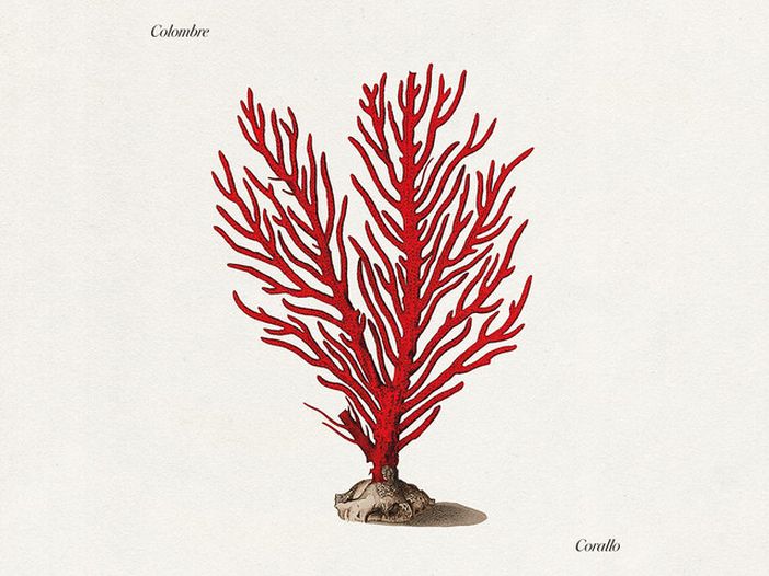 Colombre - la recensione di &quot;Pulviscolo&quot;