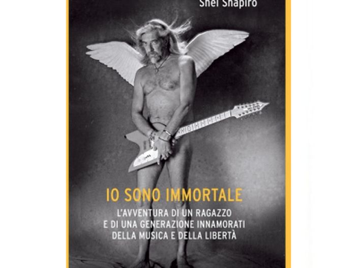 Shel Shapiro e l&rsquo;anarchia innocente