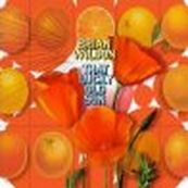Brian Wilson - THAT LUCKY OLD SUN