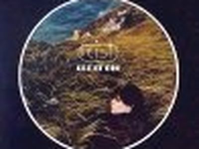 Concerti, il tour europeo di Feist