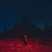 Phoebe Bridgers - PUNISHER