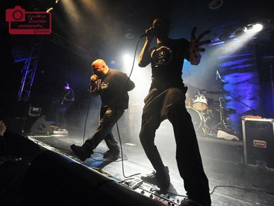 Linea 77: passione in musica