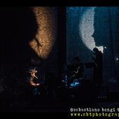 19 marzo 2017 - Teatro Goldoni - Livorno - Vinicio Capossela in concerto