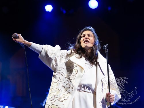 Elisa: 230mila euro dai concerti per aiutare musicisti e staff
