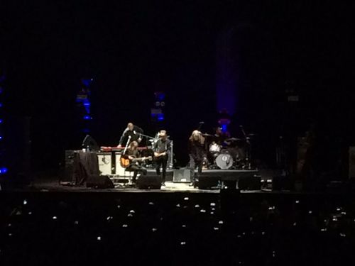 Anche Robert Plant (dopo Morrissey e Lou Reed) sceglie la Sanctuary
