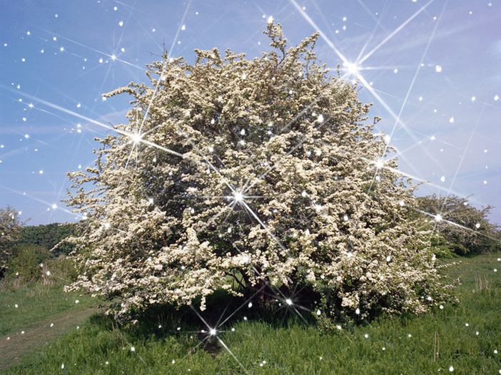 Caribou: &quot;Il ritorno dell&#039;elettronica dal vivo era inevitabile&quot;