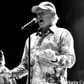 26 luglio 2012 - Rock in Roma - Ippodromo delle Capannelle - Roma - Beach Boys in concerto