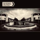 Noel Gallagher - COUNCIL SKIES