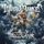 Wind Rose