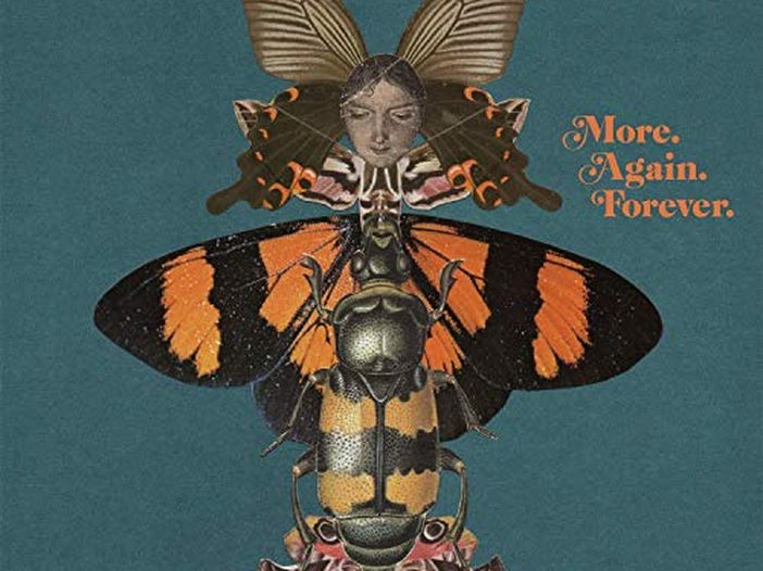 Da tenere d&rsquo;occhio nel 2008: Manchester, l&rsquo;esordio dei Courteeners