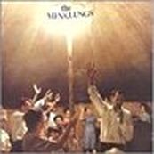 Mink Lungs - THE BETTER BUTTON