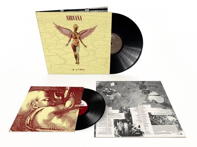 Krist Novoselic: &apos;Mi piacerebbe riproporre dal vivo le canzoni dei Nirvana&apos;