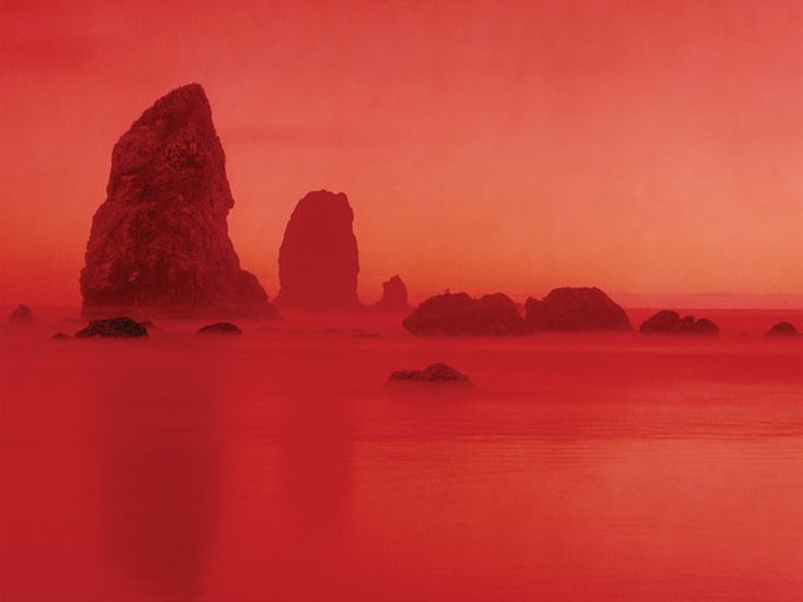 Concerti, Gang Gang Dance: una  data il 26 maggio a Milano