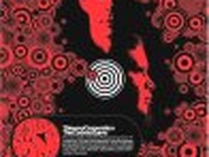 Comunicato Stampa: Thievery Corporation in concerto
