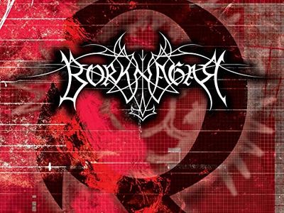 I Borknagar trovano un nuovo cantante 