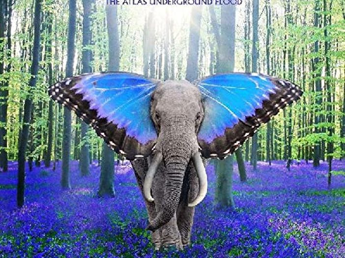 Tom Morello (RATM) e Billy Bragg suonano a &#039;Occupy London&#039;