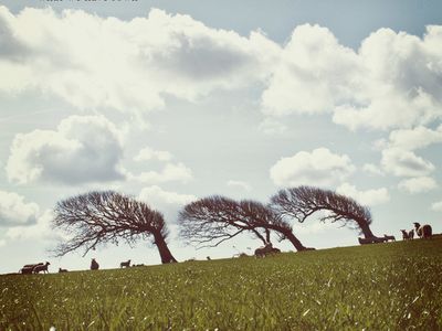 Pineapple Thief: &apos;Non siamo pop, non siamo prog&apos;