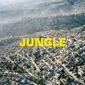 Blaze - JUNGLE