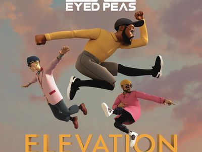 Primi Australia Video Music Awards di MTV, i vincitori