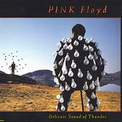 Pink Floyd - DELICATE SOUND OF THUNDER