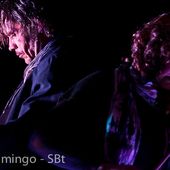 2 Novembre 2010 - Tago Mago - Marina di Massa (Ms) - Hugo Race in concerto