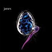 James - THE NIGHT BEFORE
