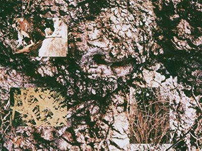 Dopo 5 anni torna Ian McNabb, ex Icicle Works