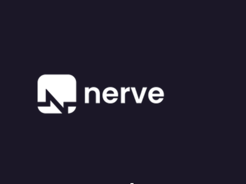 Musica e gestione finanziaria per artisti (1/2): Nerve 