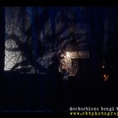 19 marzo 2017 - Teatro Goldoni - Livorno - Vinicio Capossela in concerto