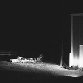 Cloud Nothings - LAST BUILDING BURNING