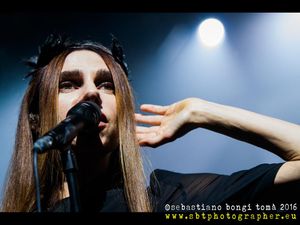 PJ Harvey