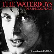 Waterboys - IN A SPECIAL PLACE