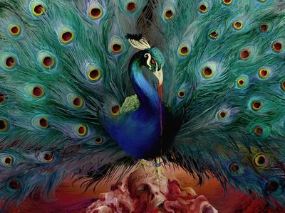 SORCERESS Opeth