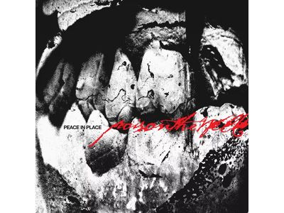 Poison The Well