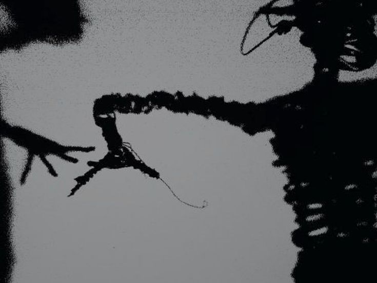 DYNAMITE STEPS Twilight Singers